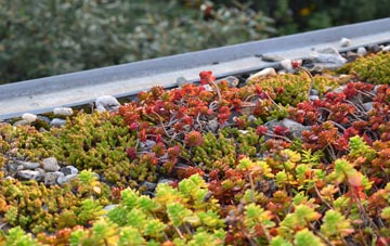 the cost of Keady green roof installation