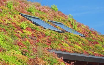 Keady living roof systems